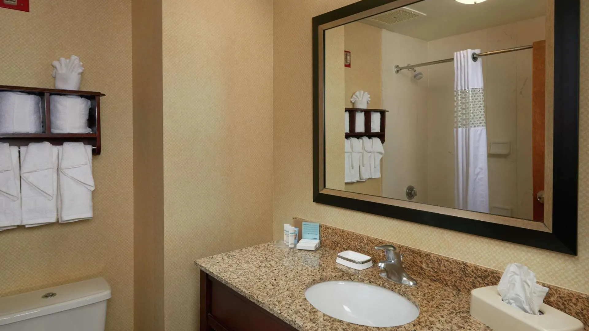 Hampton Inn Newport News-Yorktown United States